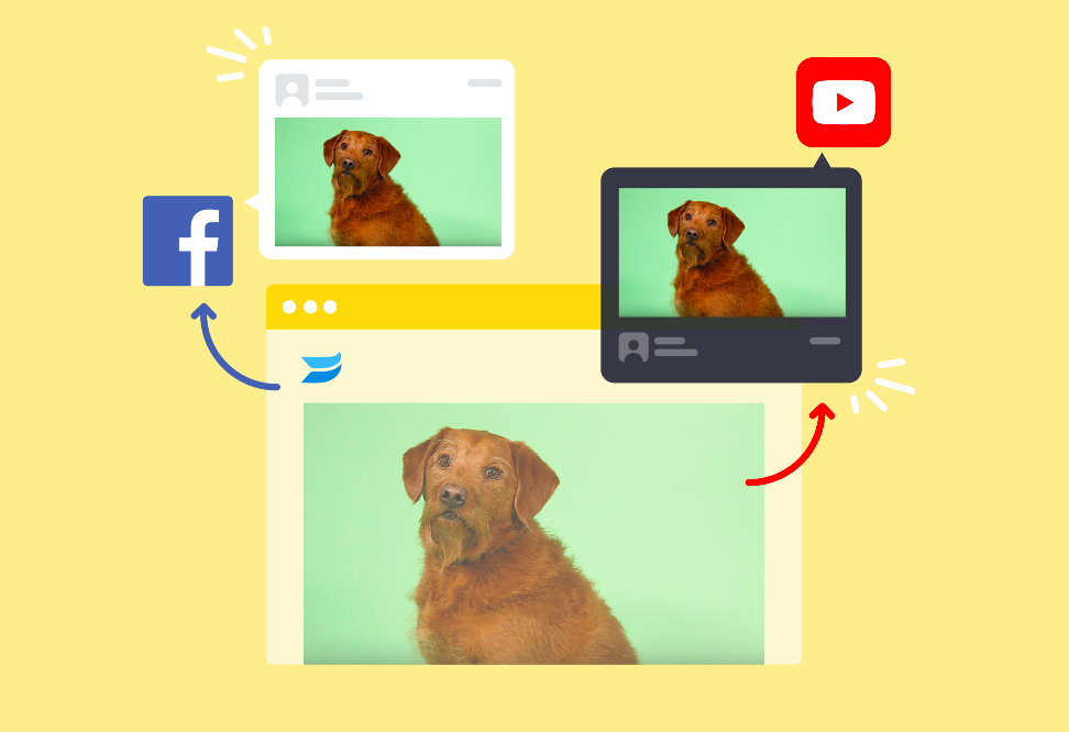 7 Video Distribution Channels for B2B Brands