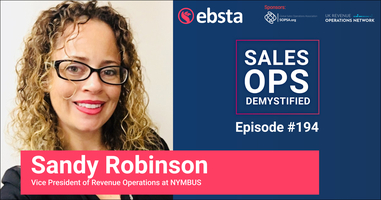 Keeping It Simple for Sales Reps With Sandy Robinson
