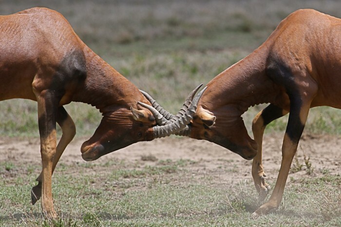 5 Helpful Tips for Sales and Marketing Cooperation