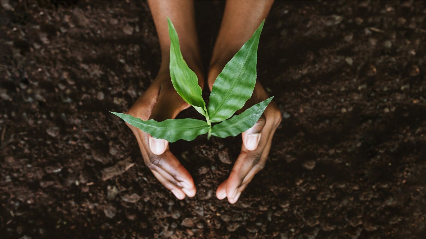 How to Market Your Sustainability as a Brand in 2024