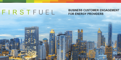 Welcome to my Customer Success Org: Domenic Armano of FirstFuel
