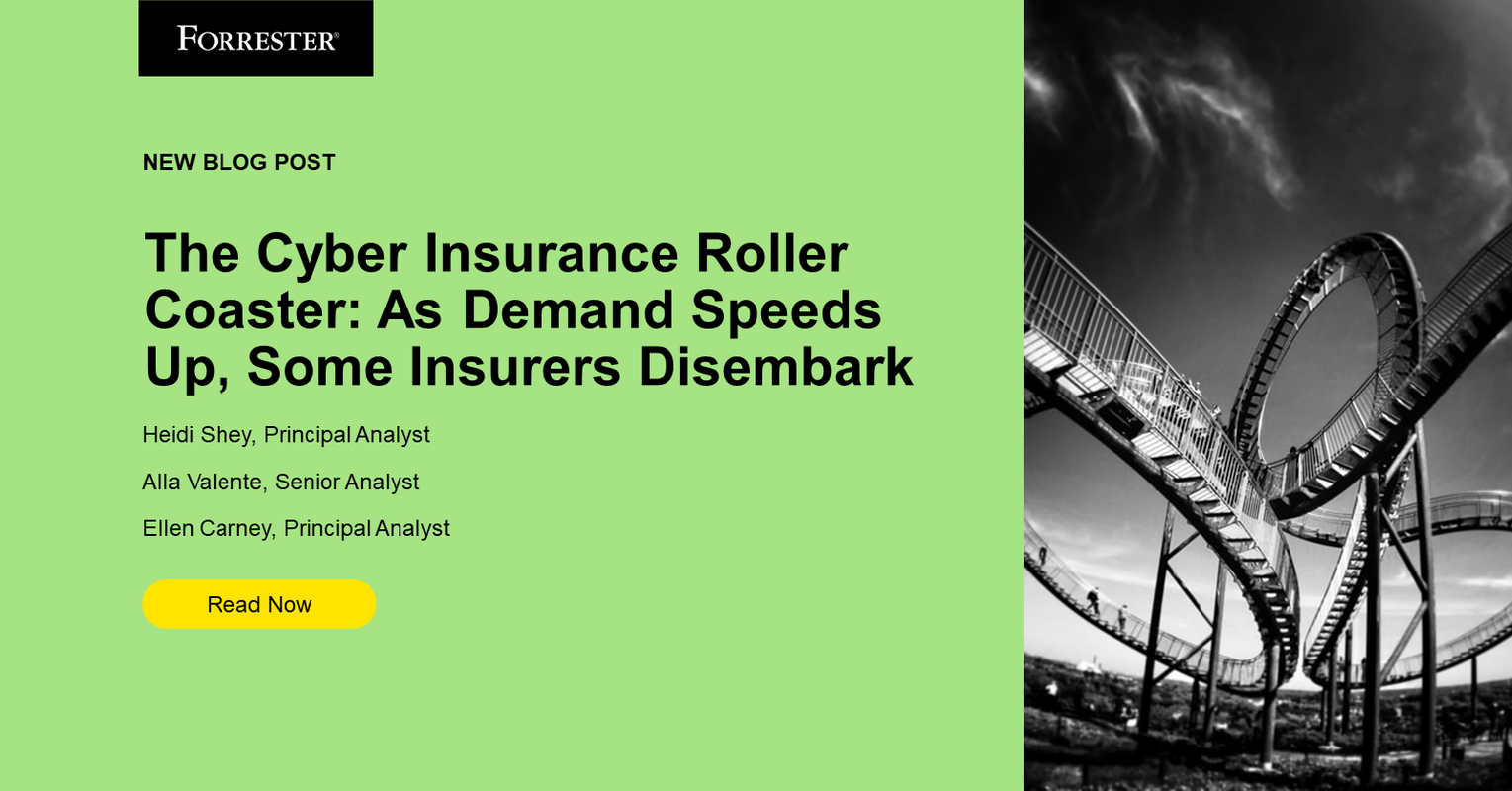 The Cyber Insurance Roller Coaster: As Demand Speeds Up, Some Insurers Disembark