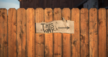 Q&A with GlobalData: Coaching excellence