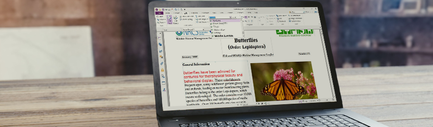 Best practices for ensuring a PDF Document is ready to be published - Foxit PDF Blog
