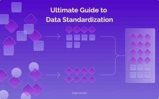 A Comprehensive Overview of Data Standardization in Enterprises