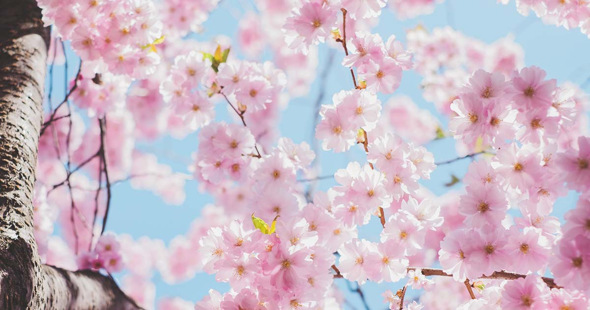 Next-gen Composability for Adobe Experience Manager