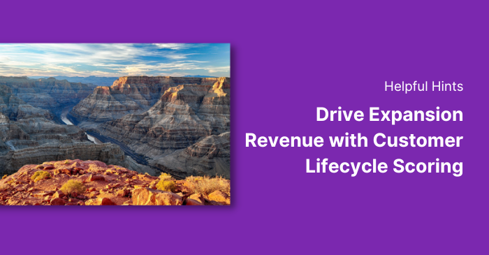 Drive Expansion Revenue using Correlated's Customer Lifecycle Scoring