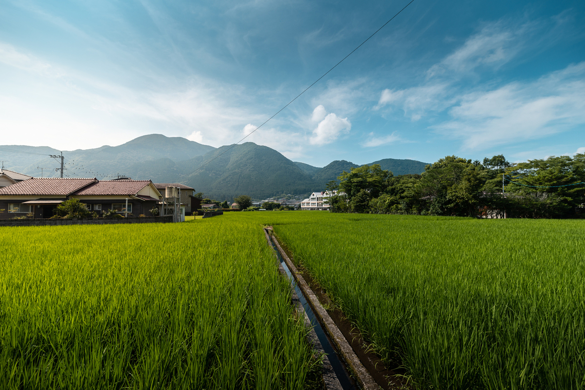 Trends and Challenges in Renewable and Efficient Energy