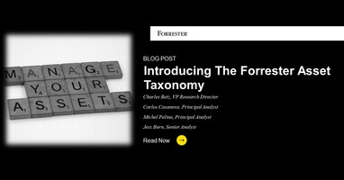 Introducing The Forrester Asset Taxonomy