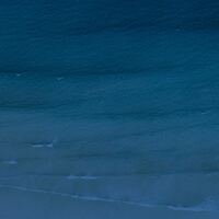 The Complete Guide to Successful Brand Activation