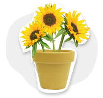 Guru Knewsletter: Powering Through Obstacles While Working Remote