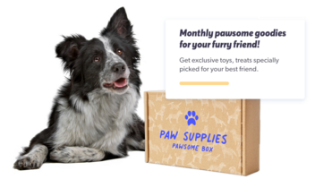 Pet Marketing Strategies For Treat-Worthy Ecommerce