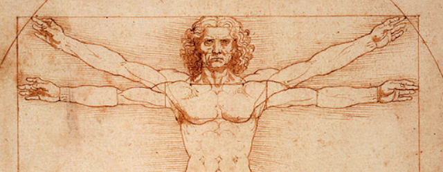 What Drove The AI Renaissance?