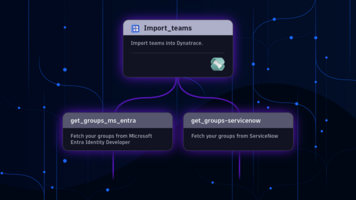 The right person at the right time makes all the difference: Best practices for ownership information