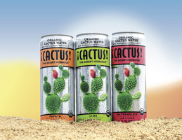 ¡CACTUS! Water Co.