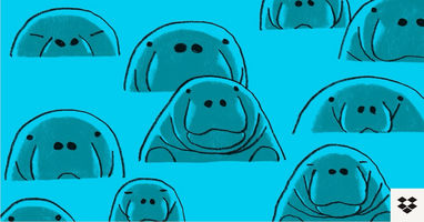 How AI is spotting manatees in the wild