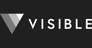 Visible Lite: Pre-Traction Template