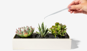 Embracing Earth Day with Sustainable Sends