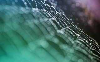 Graph Databases: Living on the Edge