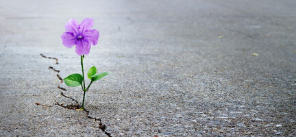 How Advertisers Can Succeed During Uncertain Times