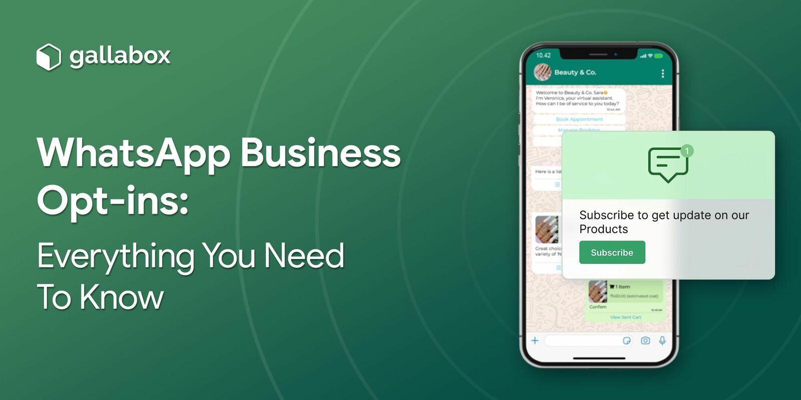 WhatsApp Business Opt-ins: Everything You Need To Know 
