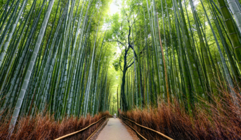 Bolster Brand Resilience With DMARC