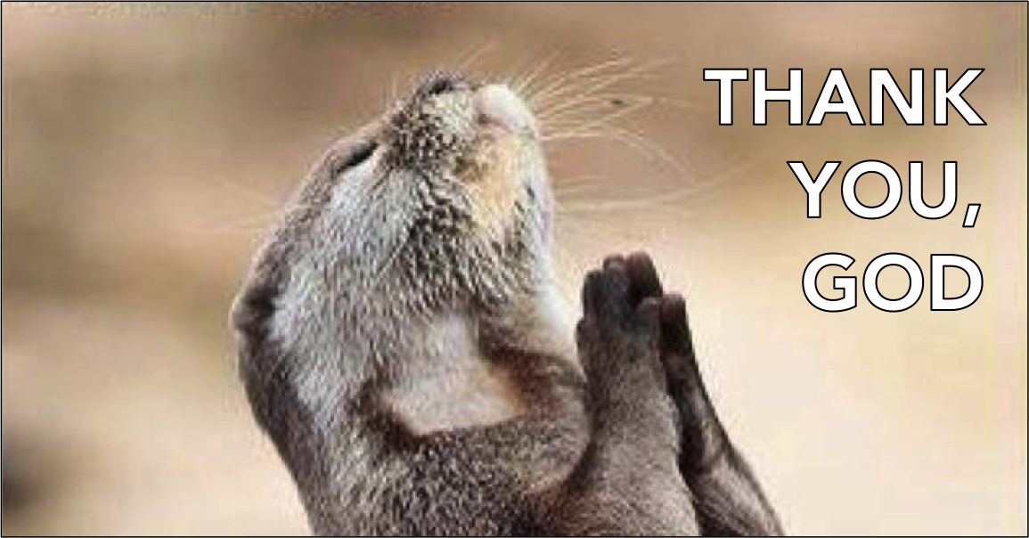 The "Thank God That Exists" List of Tools for Prolific Content Marketers (For #CMWorld)