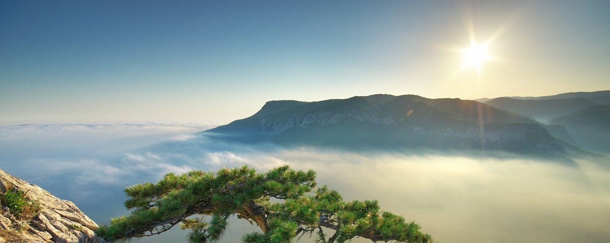 Top 20+ Best Parallax Themes for Shopify in 2023