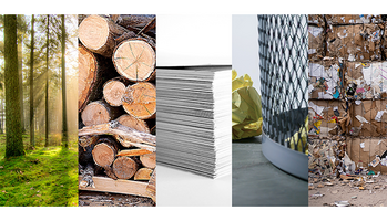 2020 Resolution for the Environment: Go Paperless