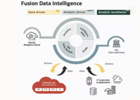 Use Custom Hostnames for Oracle Fusion Analytics