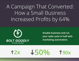 A Campaign That Converted: How a Small Business Increased Profits by 64%