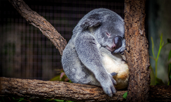 You take the good, you take the bad-you can overcome empathy exhaustion