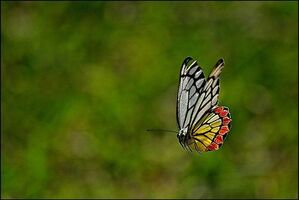 6 Ways My Brain Stops Me From Creating – And How I'm Fighting Back