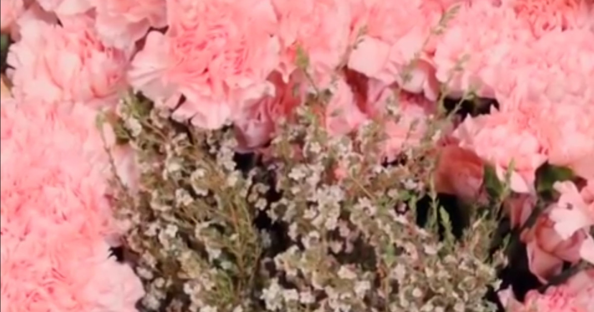 Seller Spotlight: Lilybelle Flowers