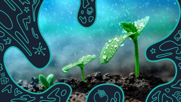 The Ultimate Guide to Growth Marketing