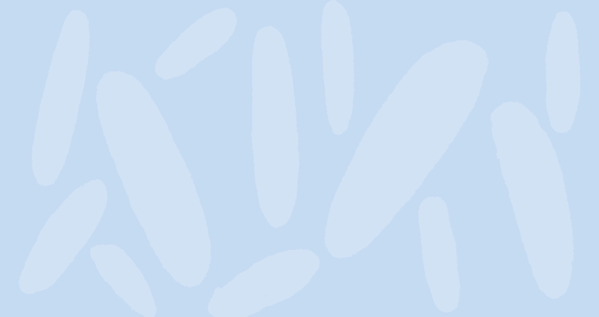 Mailchimp vs. Sendinblue: A Marketing Platform Comparison