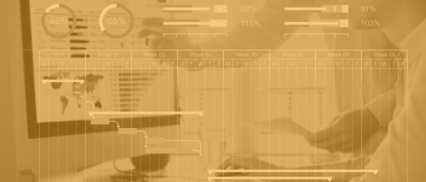 Professional Services and Customer Success in SaaS Startups