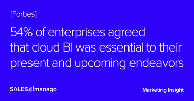 Business Intelligence contribution to eCommerce is far beyond what you can imagine, with 46% of companies using BI tools as a core part of their business strategy