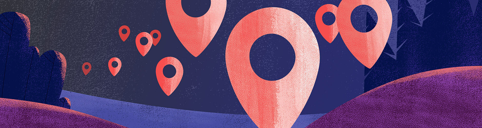 Create a Project Plan