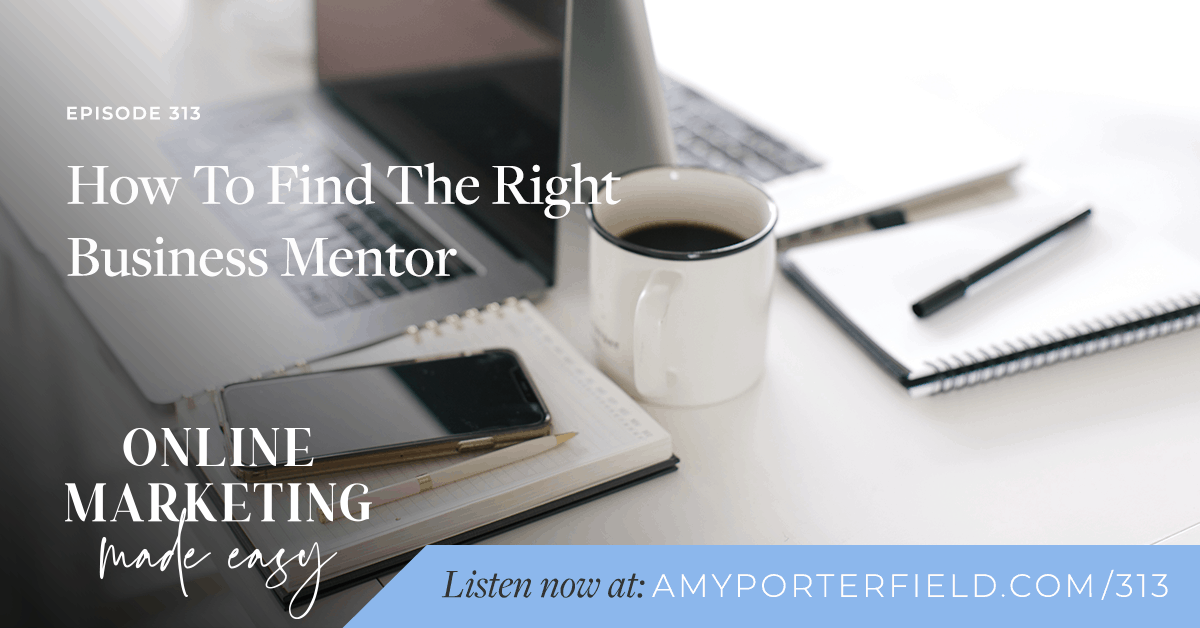 #313: How To Find The Right Business Mentor
