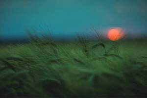 Onsite, virtual or hybrid? Which event is right for you