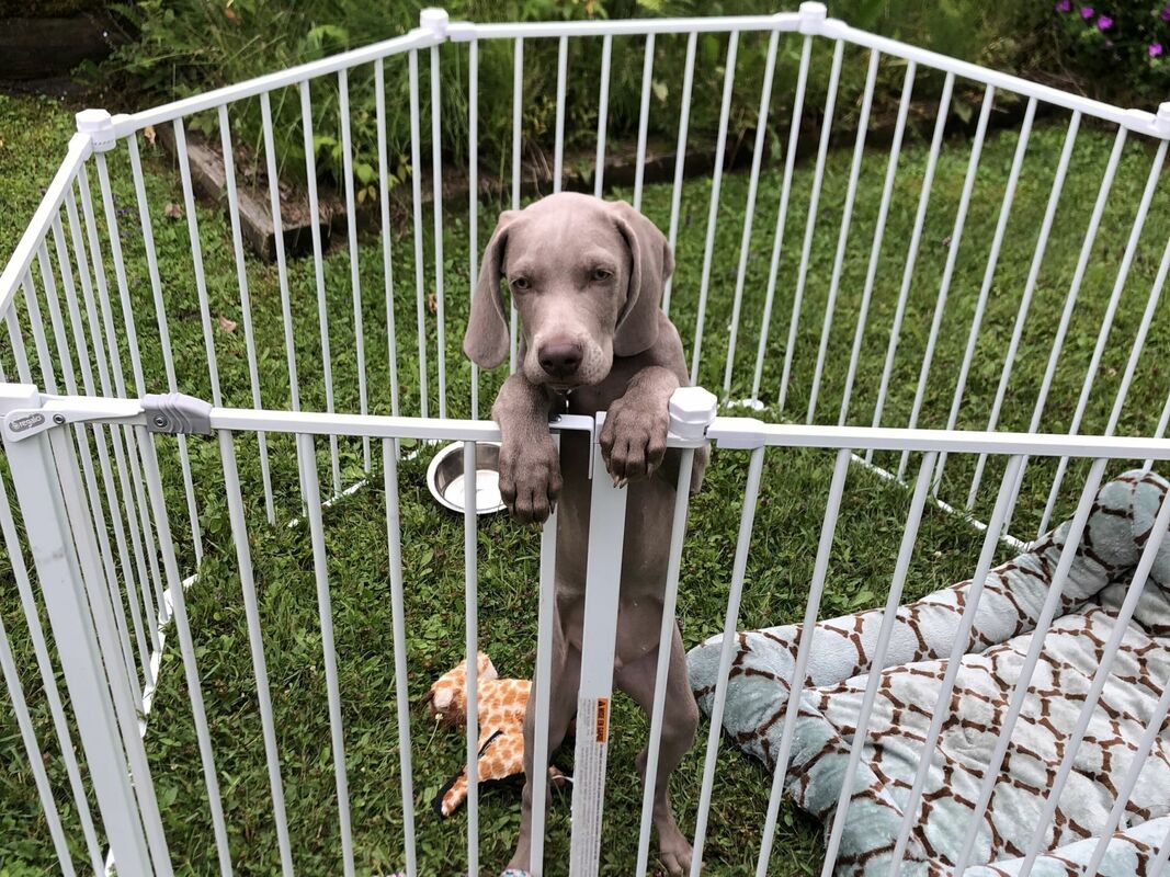 Give customers the product information they want