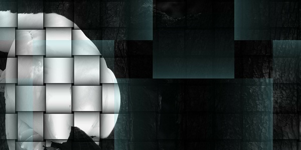 13 Key Components of Killer Interactive Content - Ceros Inspire: Create, Share, Inspire