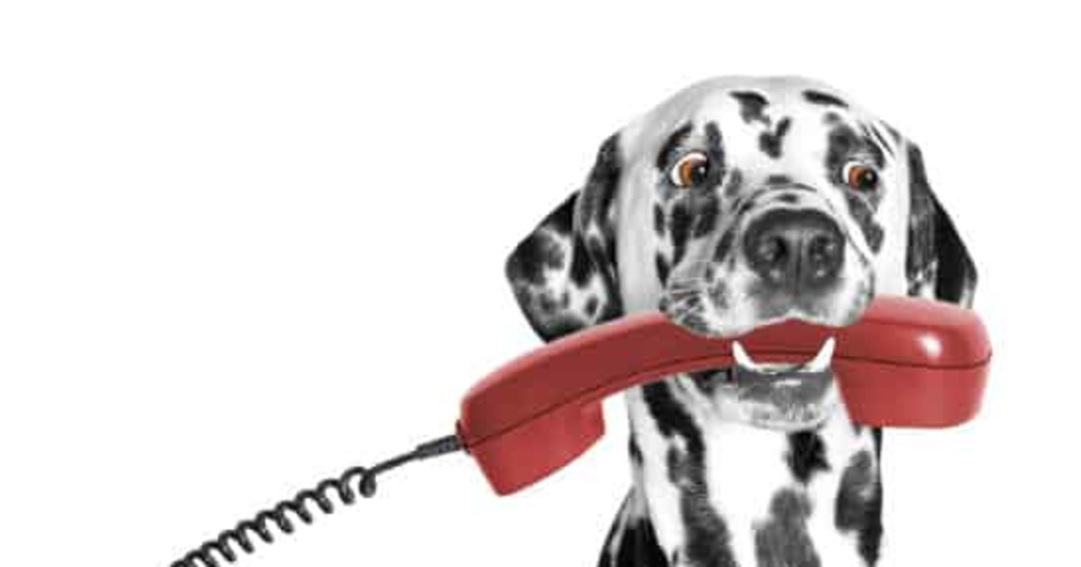 What Are the Best Contact Center KPIs for Your Operation?