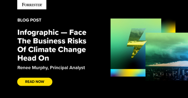 Infographic - Face The Business Risks Of Climate Change Head On