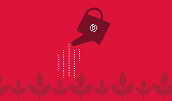 Organic Instagram growth strategies to build your brand