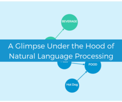A complete guide to natural language processing