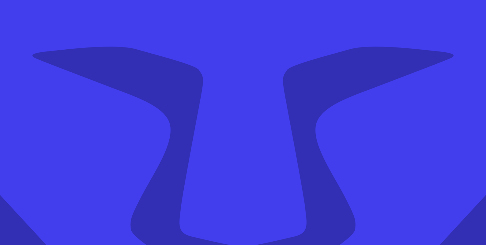 Server Meaning & Definition 