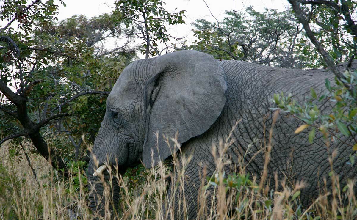 Species360 Gathers Feedback With Pendo | Customer Stories