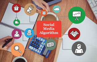 Unlock the Secrets of Social Media Algorithms: Tips & Insights